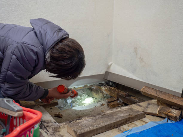 Best Mold Remediation for Healthcare Facilities  in Berlin, WI