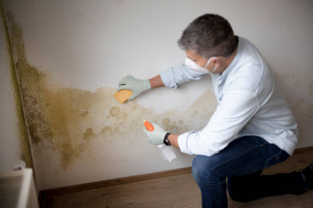 Best Air Quality Testing for Mold Spores  in Berlin, WI